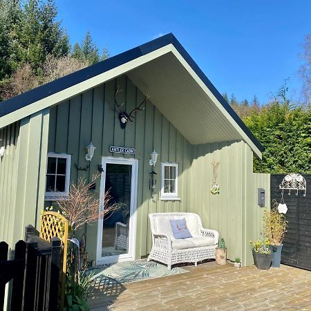 Antler Cabin At Woodlea Spean Bridge公寓 外观 照片